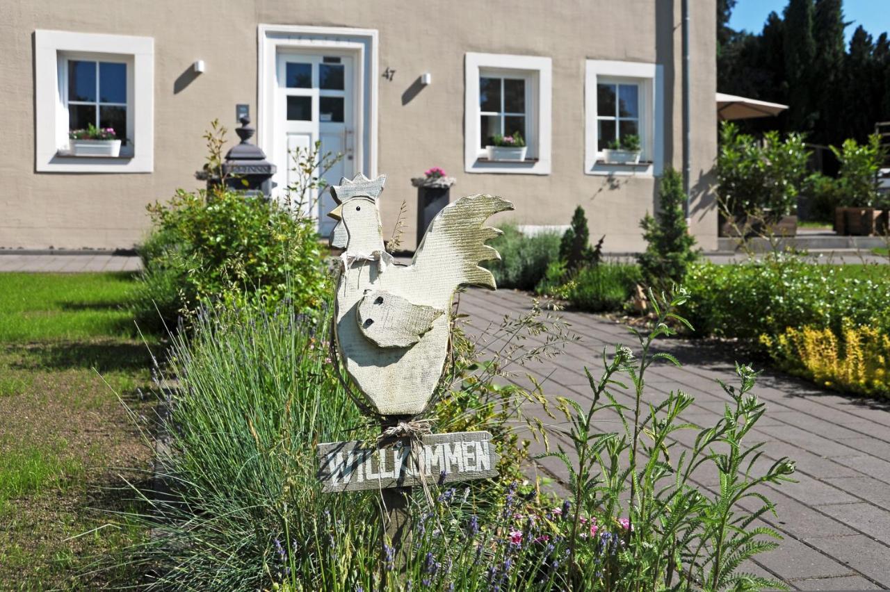 Ferienhaus Eifel 1851 Gipperath Exterior foto